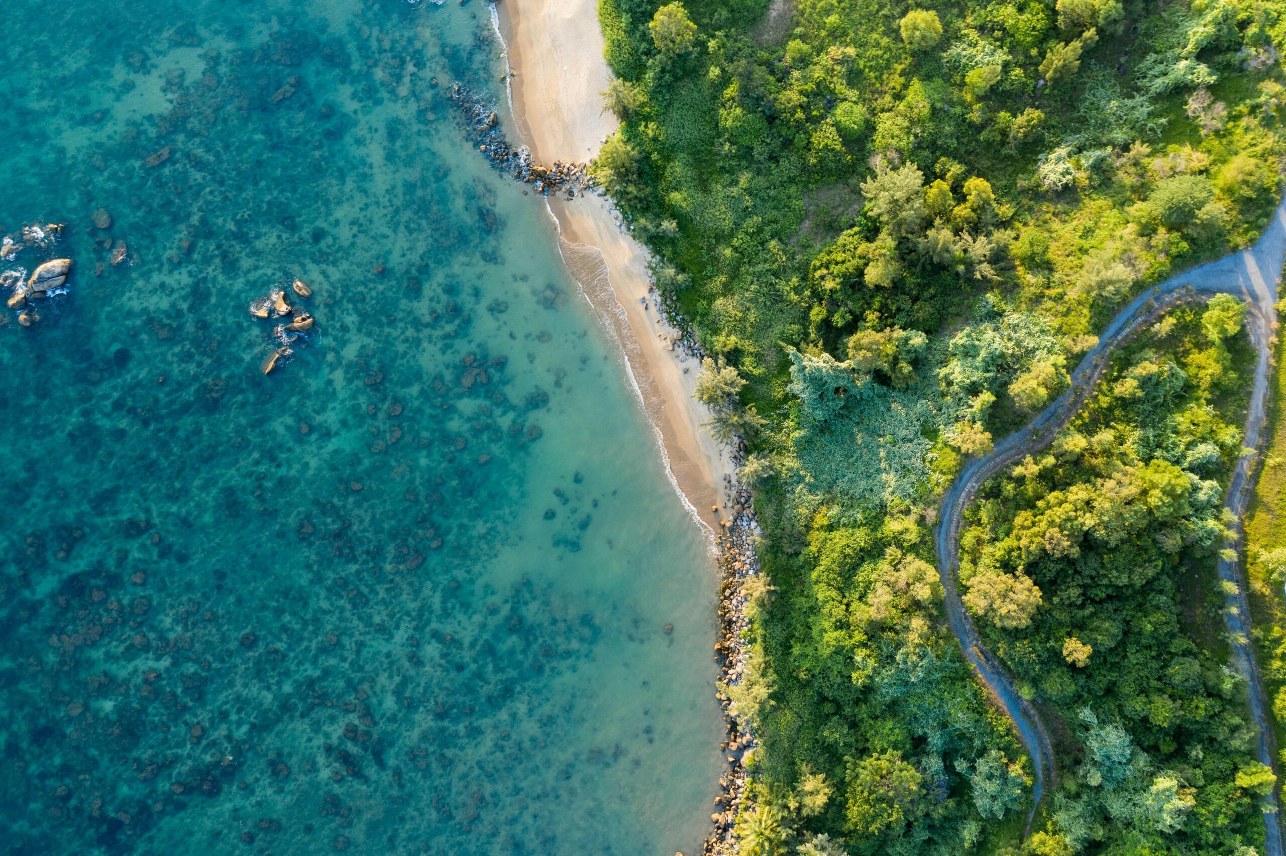 kiril-dobrev-v63UL8s28Ew-unsplash