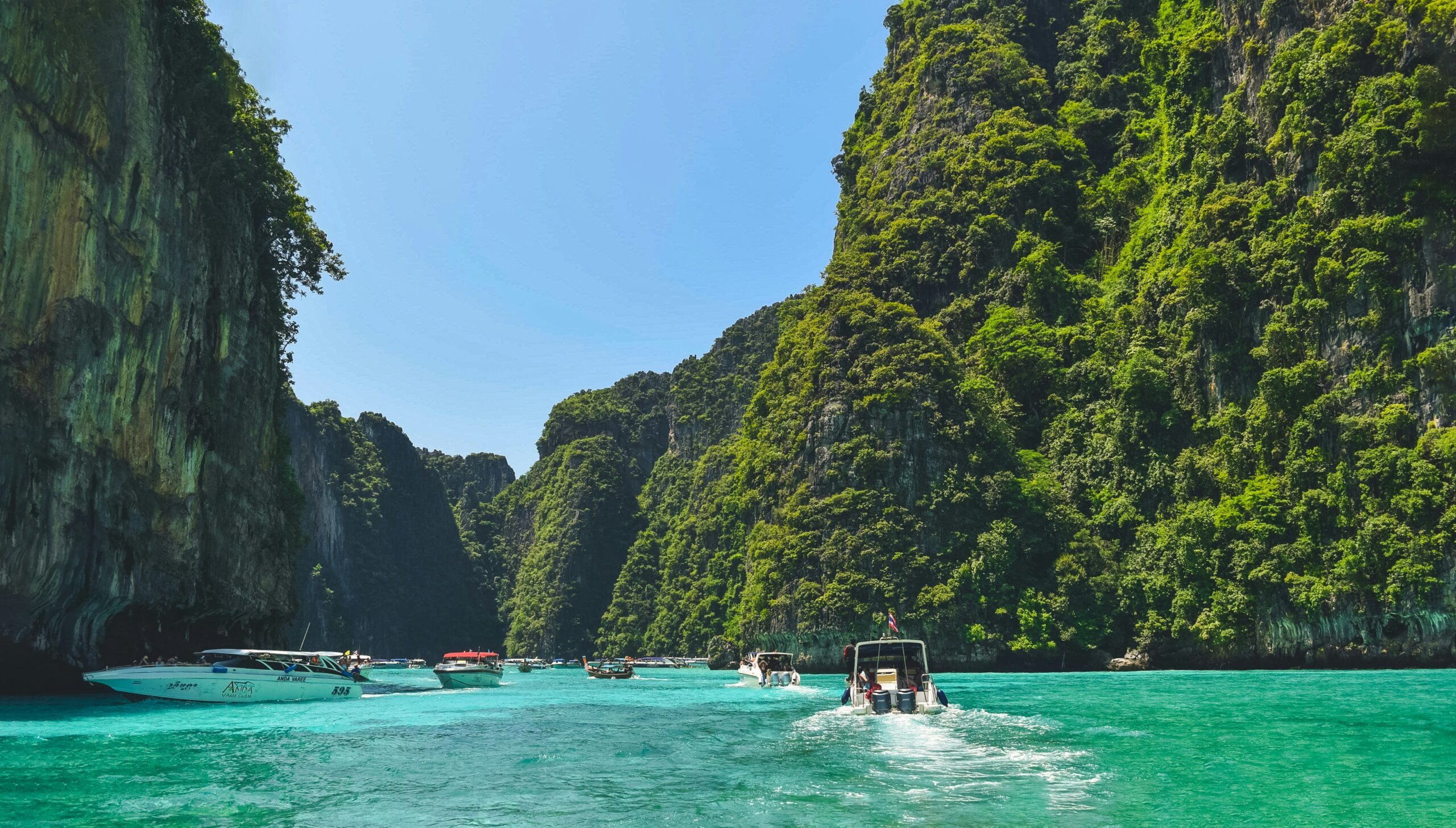 nopparuj-lamaikul-v7bDIi2eBTI-unsplash
