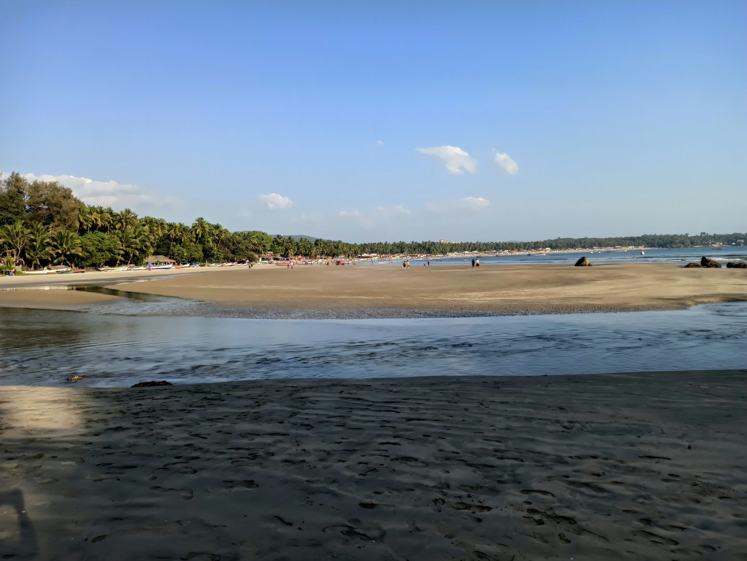 siddharth-singh-w70qoPPa9JI-unsplash