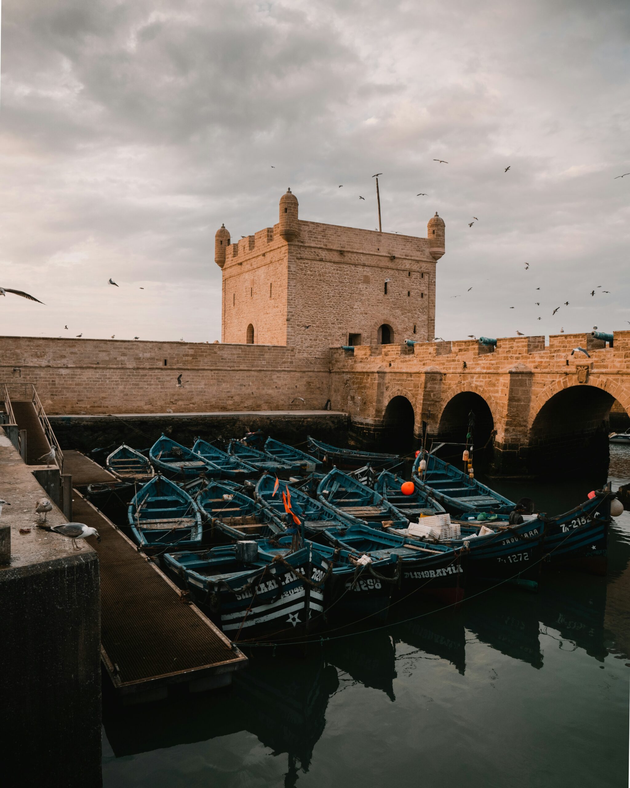 youssef-aboutaleb-ad1FM2Xj0QQ-unsplash