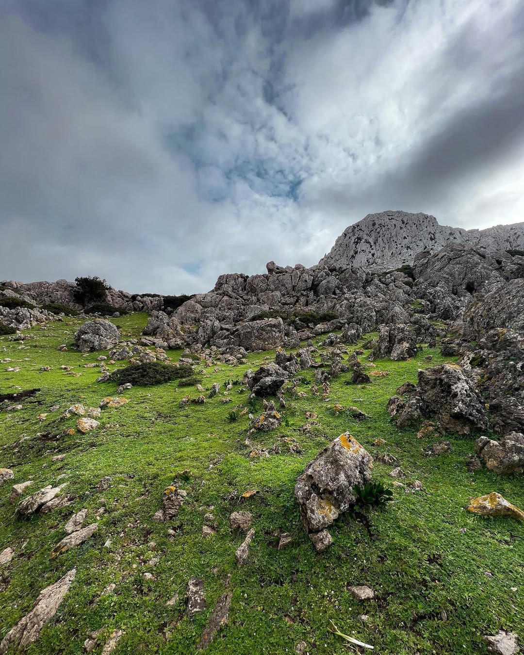 Découvrez Fahs Lamhar, explorez les paysages majestueux de Jbel Bouzitoune, admirez la beauté pa (2)