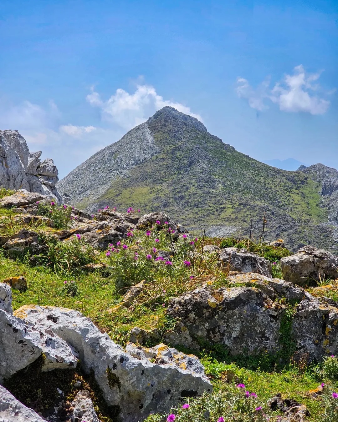 Découvrez Fahs Lamhar, explorez les paysages majestueux de Jbel Bouzitoune, admirez la beauté pa (3)