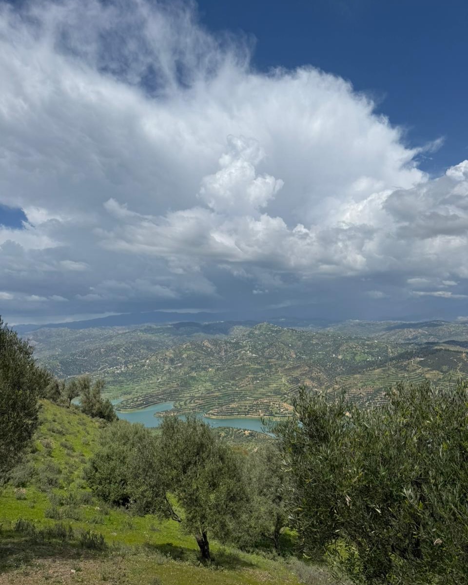 Évadez-vous à Taounate - barrage Sahla, sommet Astar et Oued Sra vous offrent nature, vue impren (5)