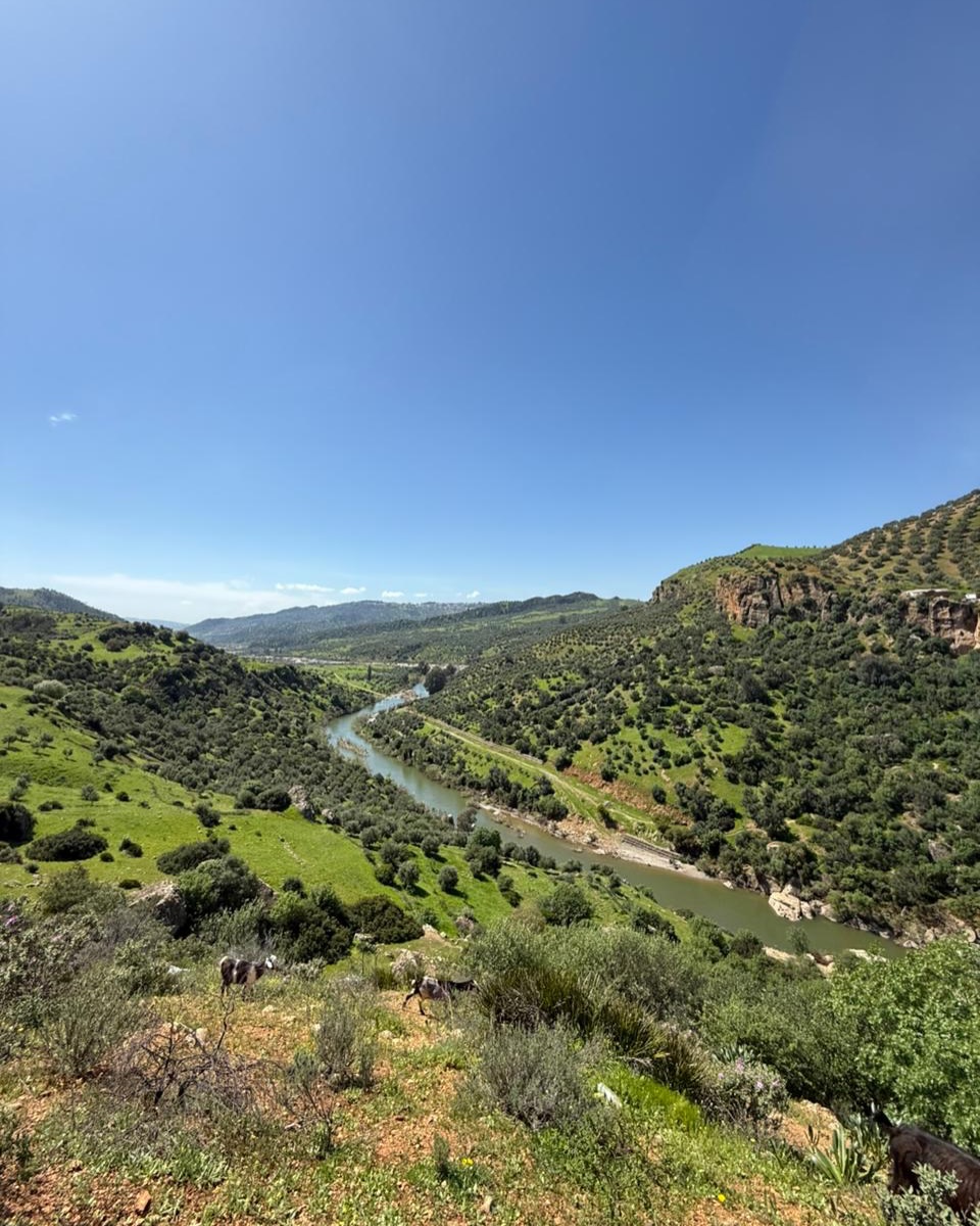 Évadez-vous à Taounate - barrage Sahla, sommet Astar et Oued Sra vous offrent nature, vue impren