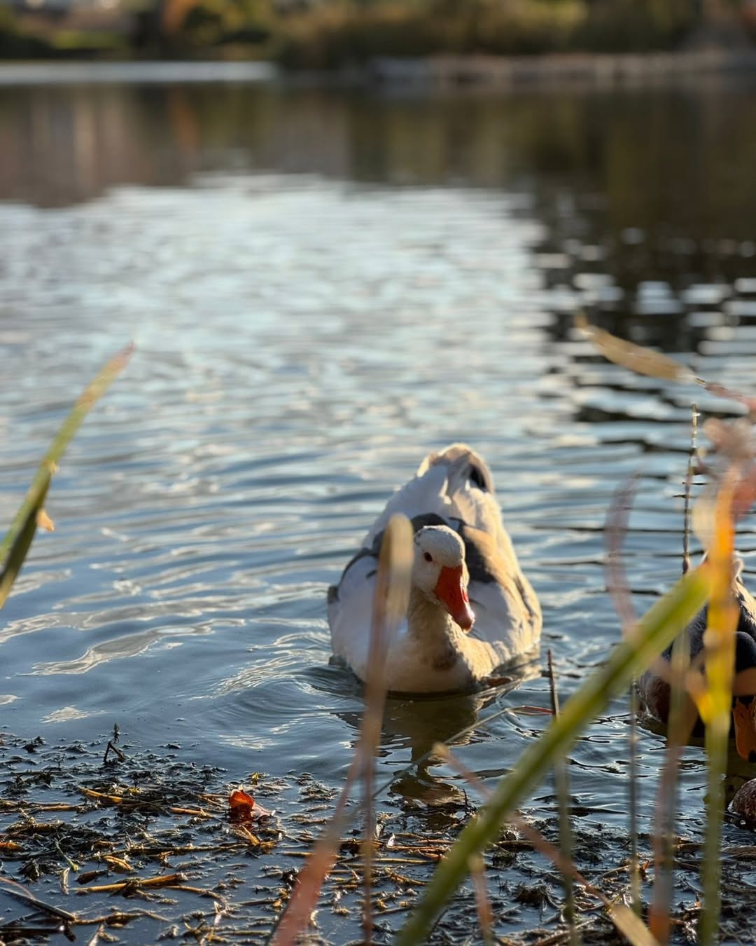 MTA vous propose des destinations variées que nous avons soigneusement choisies - Amghass, Ouad (2)