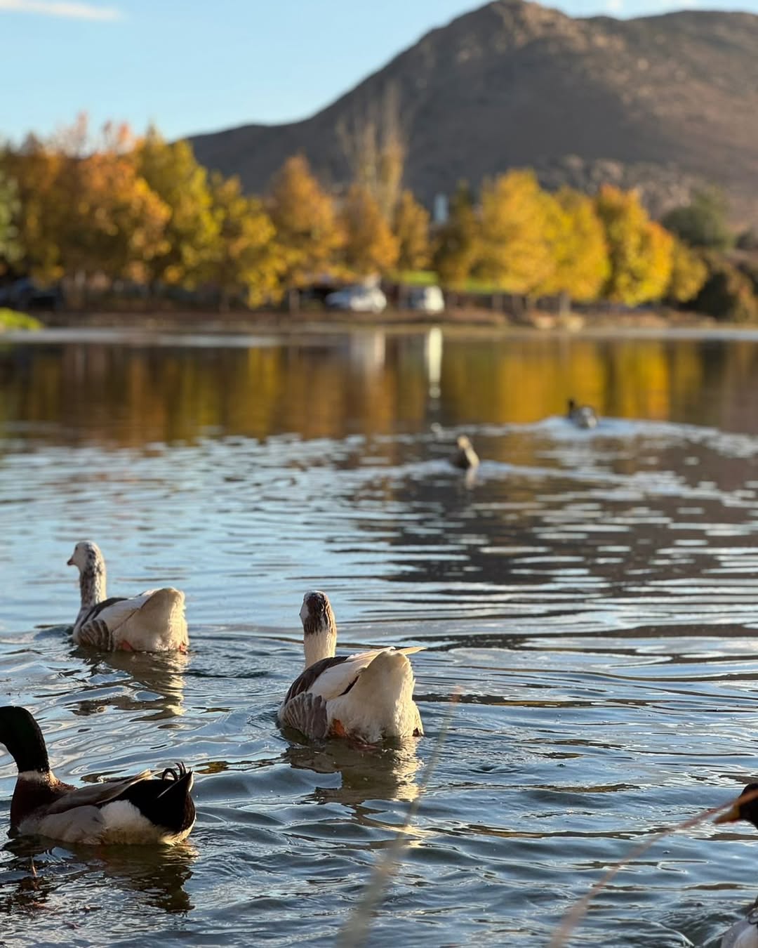 MTA vous propose des destinations variées que nous avons soigneusement choisies - Amghass, Ouad (3)