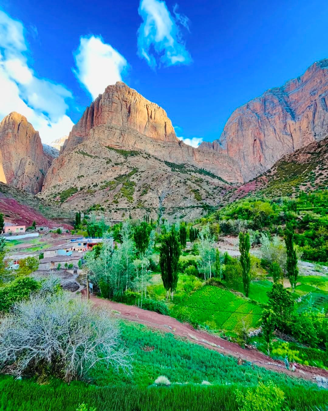 Partez à la conquête du Sommet Isfoula 🏔️, traversez l’authentique Passage berbère et laissez-v (1)