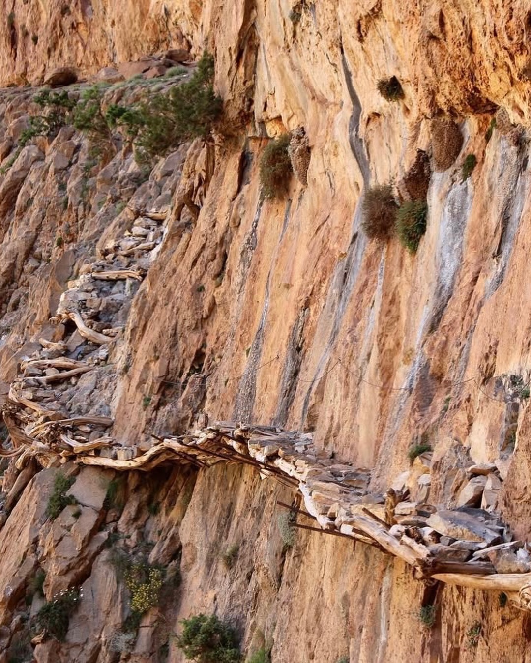 Partez à la conquête du Sommet Isfoula 🏔️, traversez l’authentique Passage berbère et laissez-v (2)