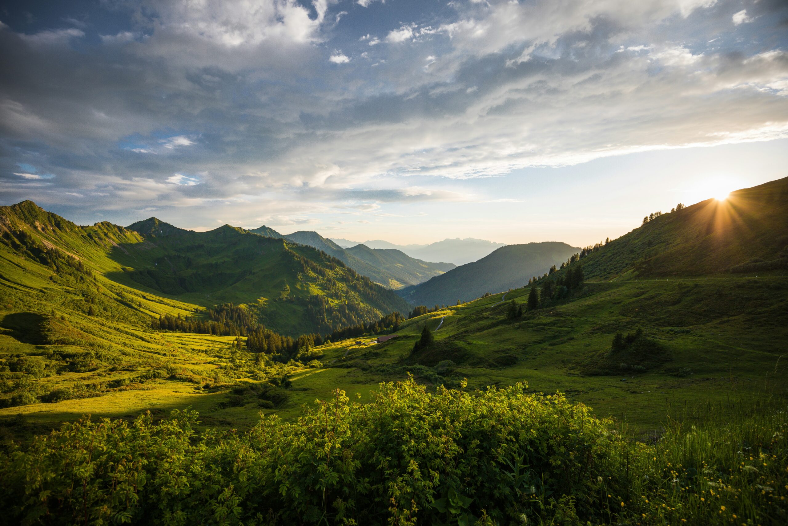 simon-lohmann-I_n_b44cqhk-unsplash