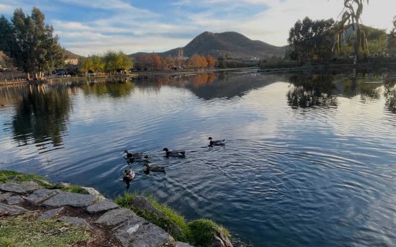 MTA vous propose des destinations variées que nous avons soigneusement choisies - Amghass, Ouad