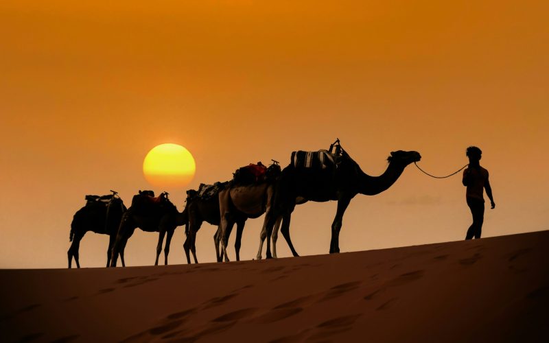 mehdi-el-marouazi-nqqH7np9JGk-unsplash