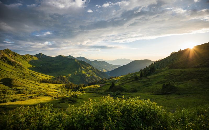 simon-lohmann-I_n_b44cqhk-unsplash